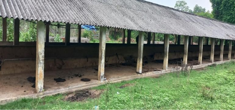 Exposure visit to a dairy farm